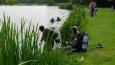 Duikers  (14)