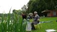 Dames  vissen (4)