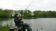 Feedercompetitie  (16)