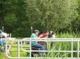 Club Koppel  (20)