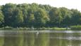 Koningvissen 010