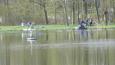 Koningsvissen 012