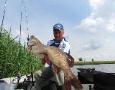 Jurgen dikkesnoek 108cm